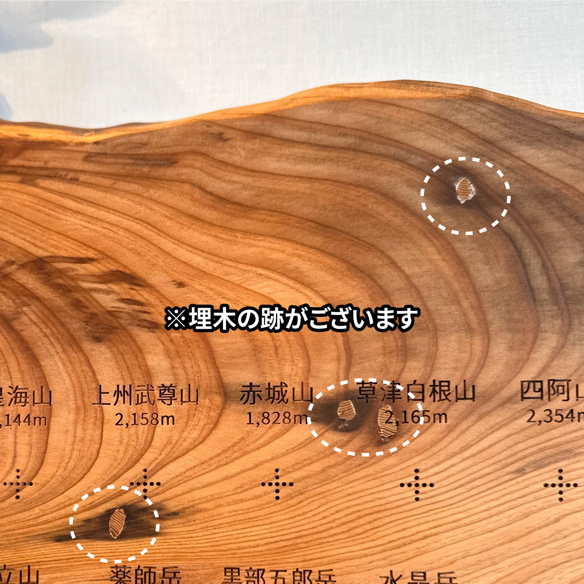 100mt-528