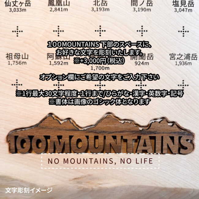 100mt-533